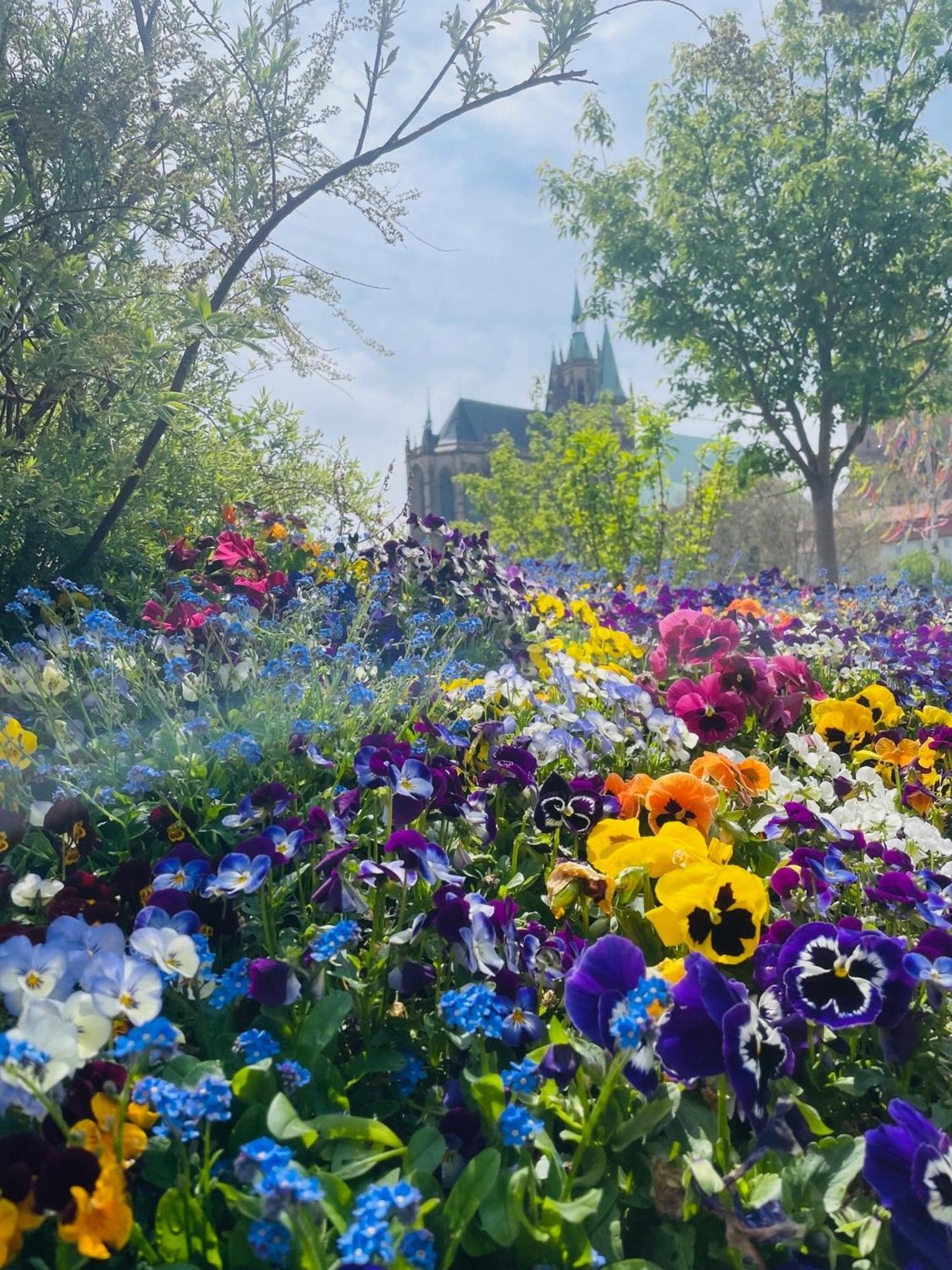"Erfurt Geniessen" Daire Dış mekan fotoğraf